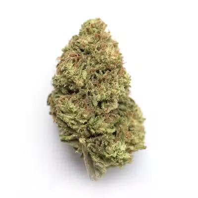 Space Cake flower at Zombie Labz Dispensary