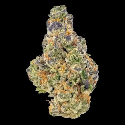 Piña Colada flower at Zombie Labz Dispensary